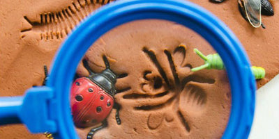 Bugs Are Fun: Playdough Bug Fossils