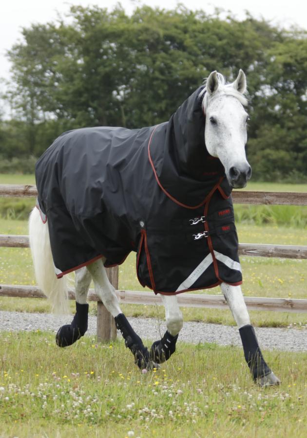 mud fever boots for horses