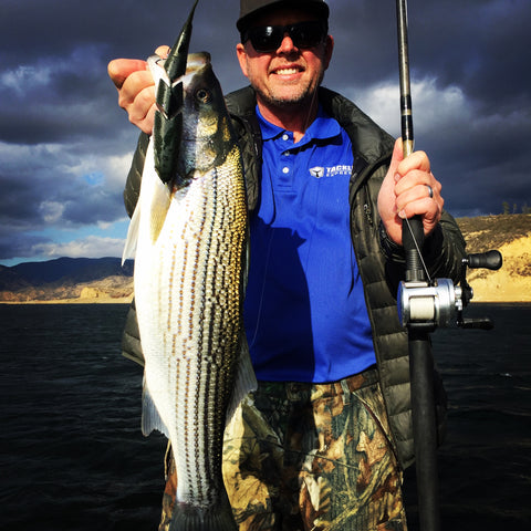 Chad Curtis Tackle Express with a Castaic Lake Striper