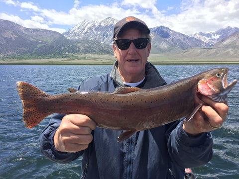 Lake Crowley Cutthroat Trout