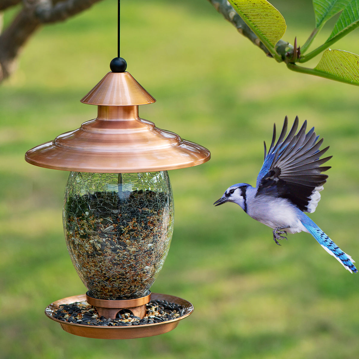 Hanging Wildlife Birds Feeders Container Bird Water Dish Durable Outdoor Fe A3P8 