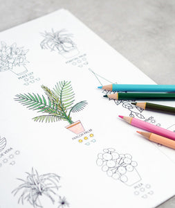 Coloring Book + Pencil Set