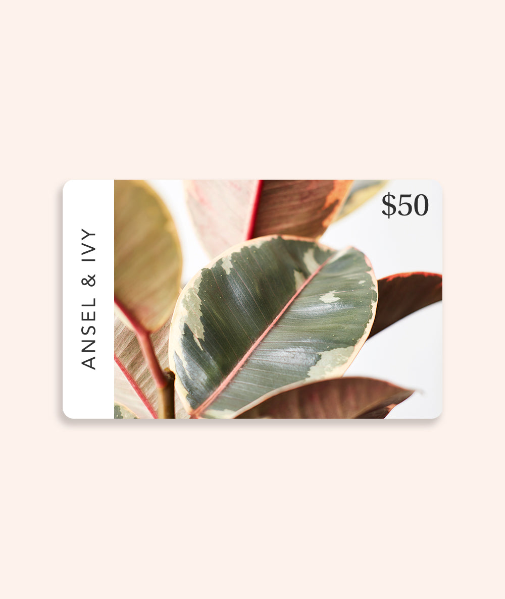 Digital Gift Card