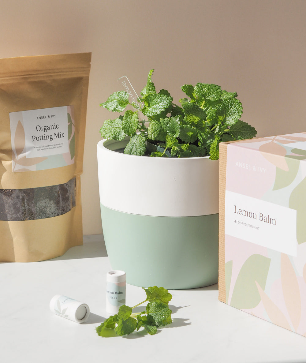 Lemon Balm Grow Kit