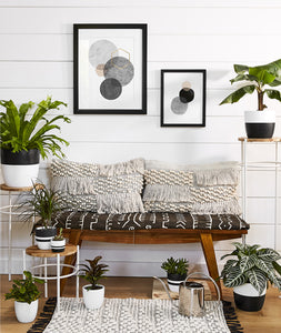 Farmhouse home decor with potted plants