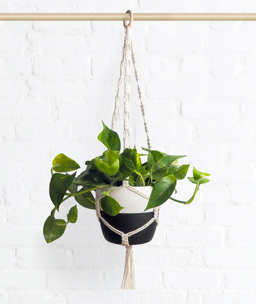 Macramé Hanger + Pot