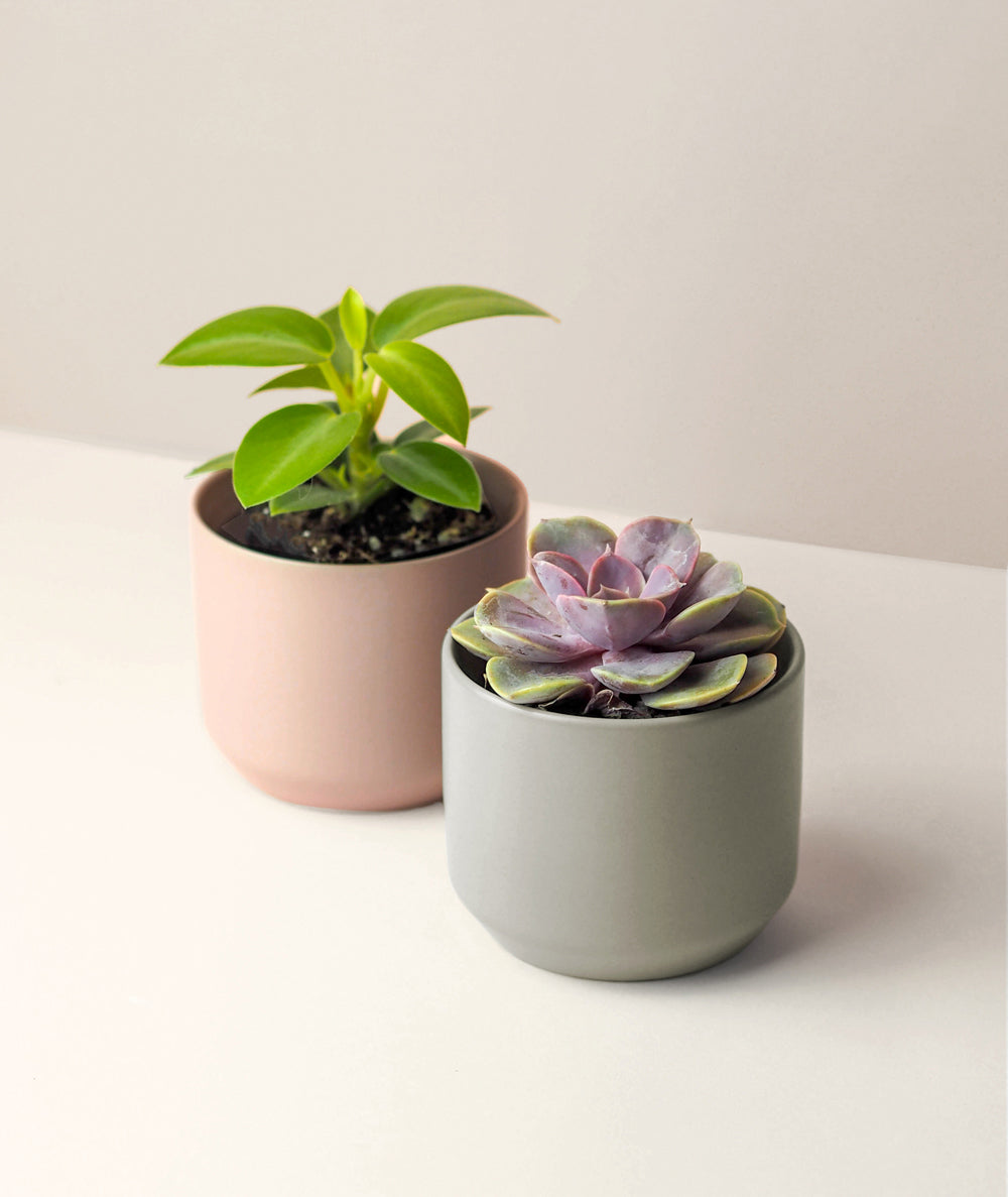 Mini Marina Pot Trio