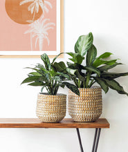 Load image into Gallery viewer, Boho natural basket planter for indoor plants. Woven seagrass basket plant pot with natural textures and neutral tones. How to display houseplants.