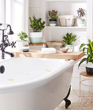 Load image into Gallery viewer, The best plants for your bathoom. Plants that love humidity. Farmhouse style bathtub with plants.