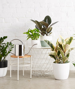 loft decor with potted plants. how to display houseplants