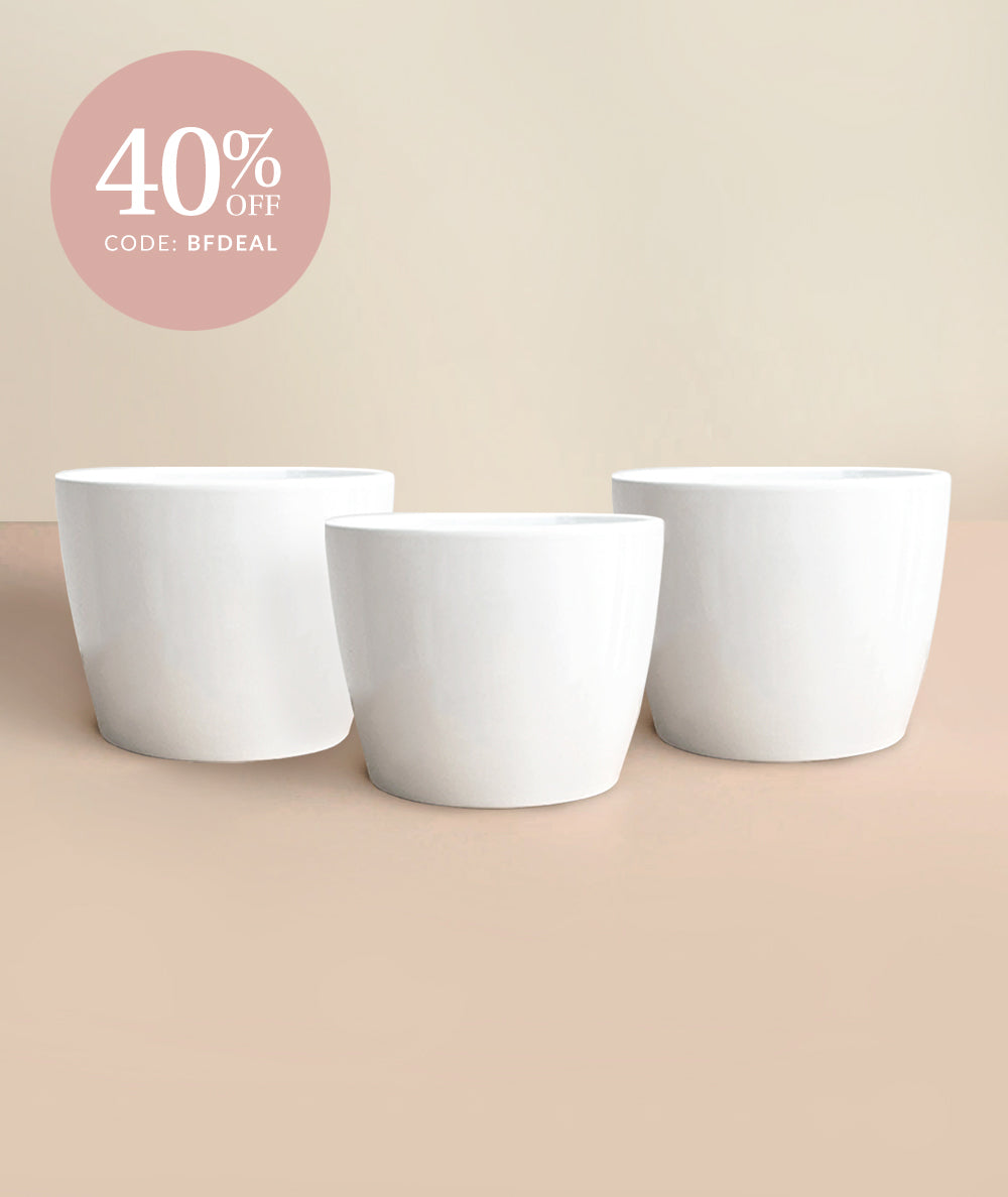 White Gloss Pot Trio