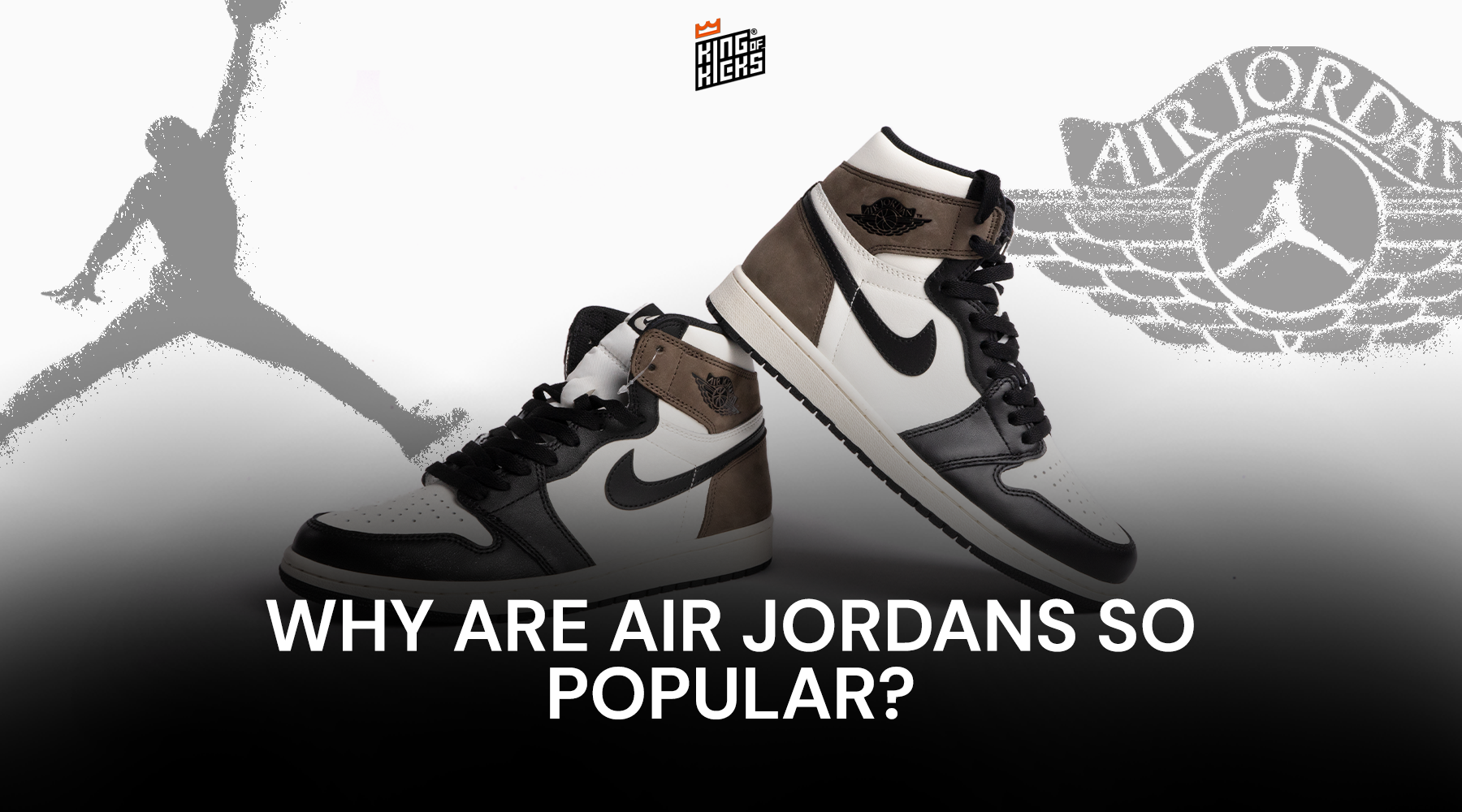Why are Air Jordan's so popular | King 