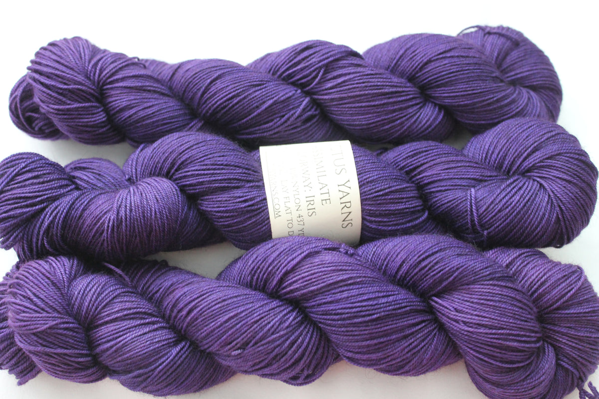 Hand Dyed Merino Nylon Sock Yarn Iris