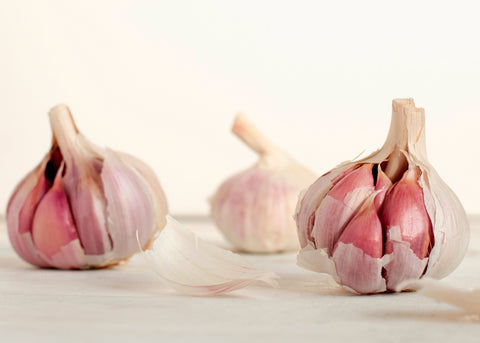 Garlic