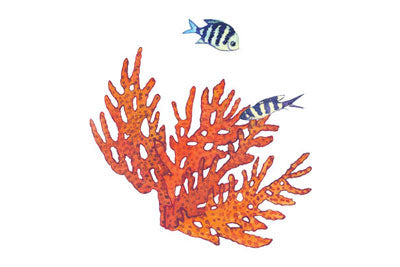 reef safe sunscreen