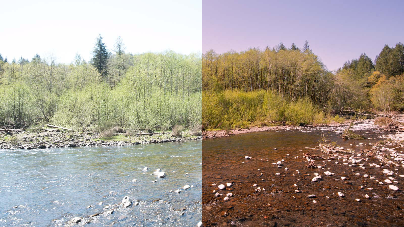 View of the water seen with and without the Emerald Green lens