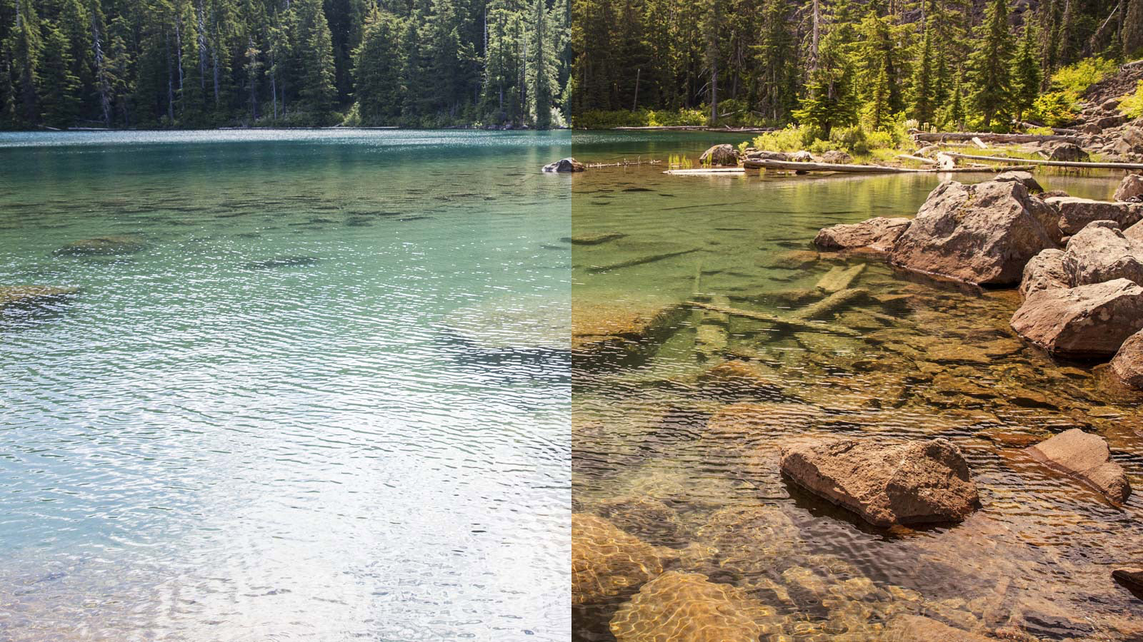 View of the water seen with and without the Flash Bronze lens
