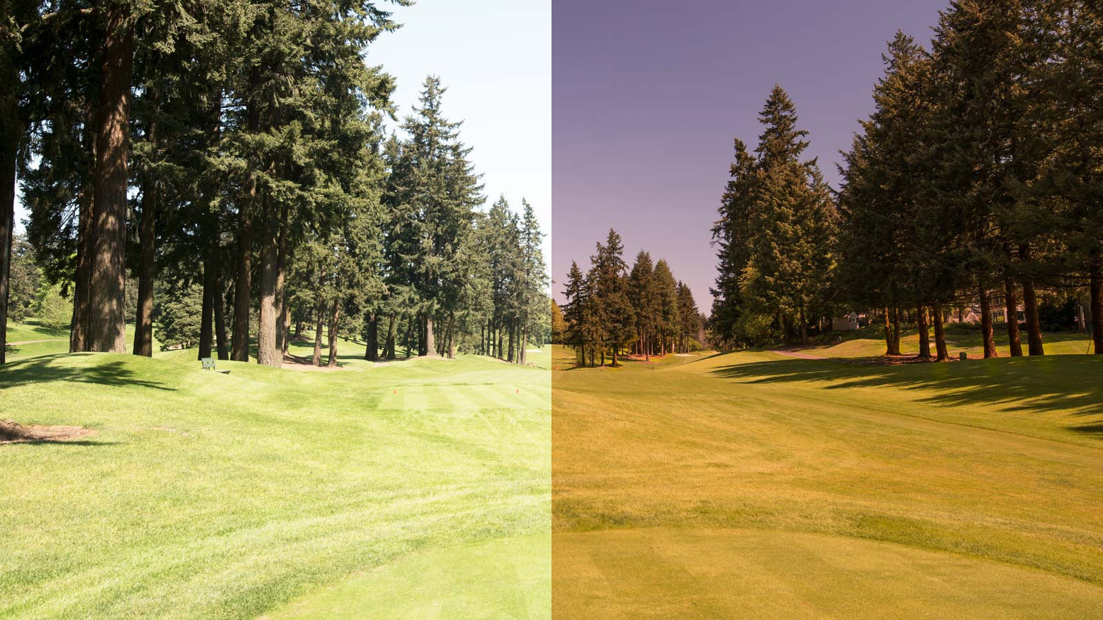 Golf course view seen with and without the Emerald Green lens