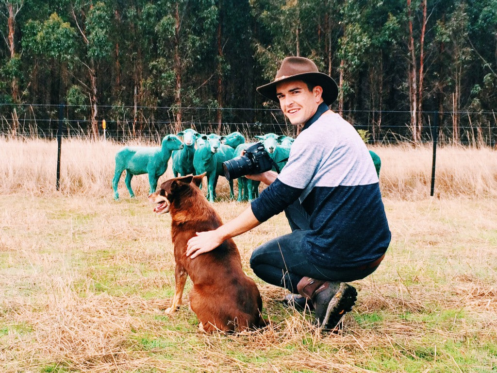 Gray Malin with green sheep in Australia via Simply Framed