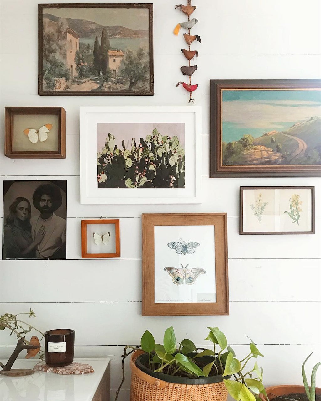 nature gallery wall