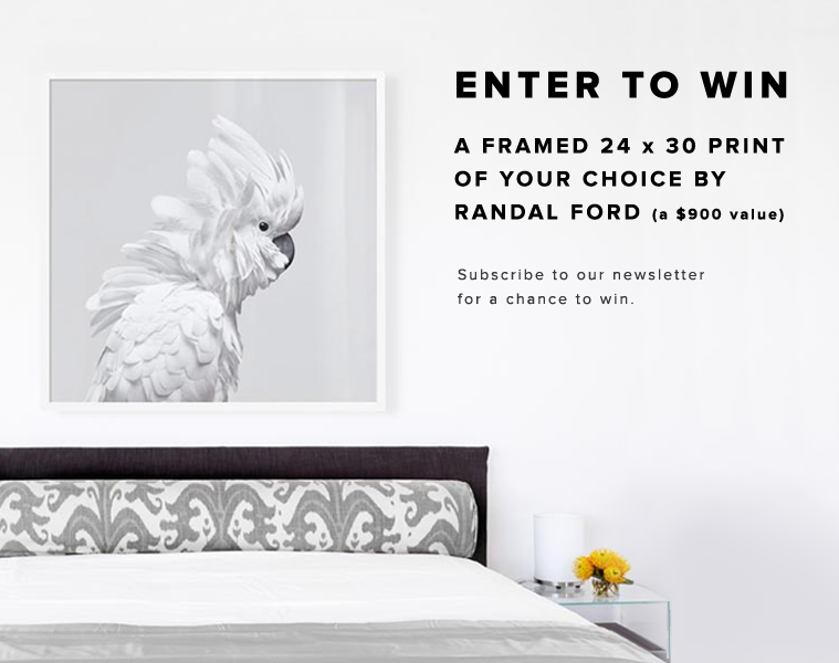 Randal Ford Sweepstakes