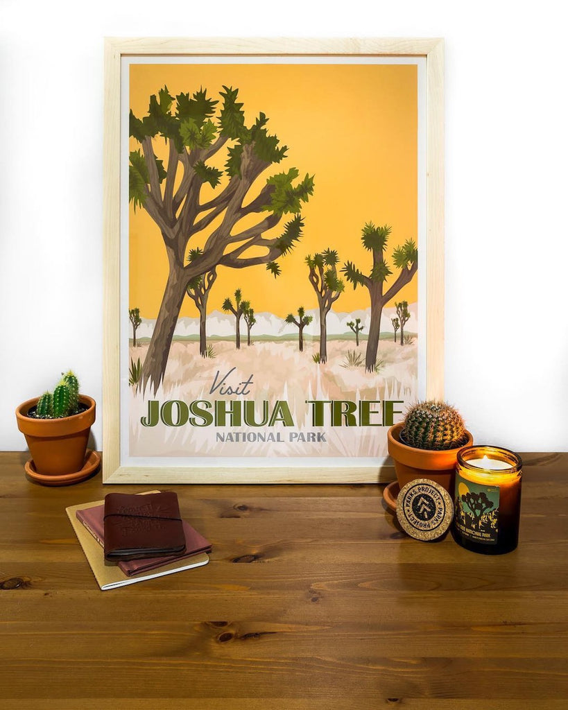 simply framed x parks project Joshua tree 