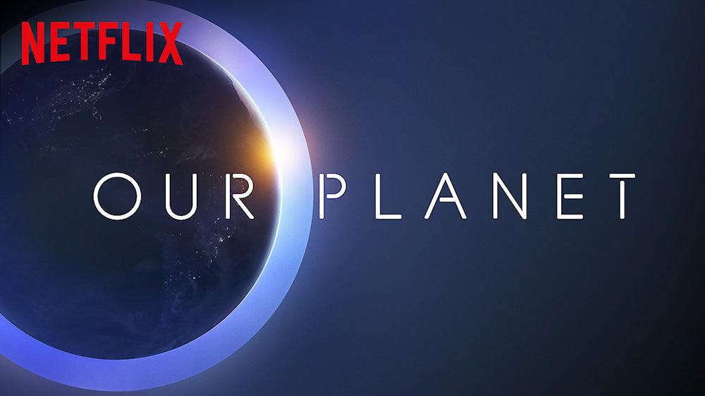 Our Planet - Netflix Documentary | Flashpacker Chronicles