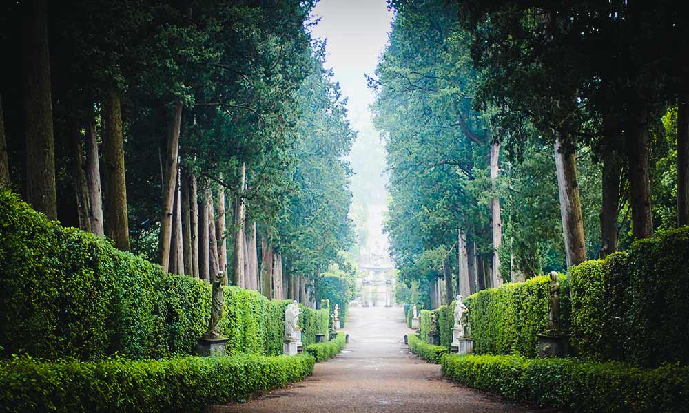 Focus while Remote Working-Tree Lined Gardens in Florence Italy