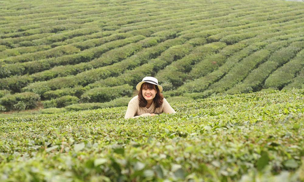 Top Travel Jobs - Seasonal Work Agriculture