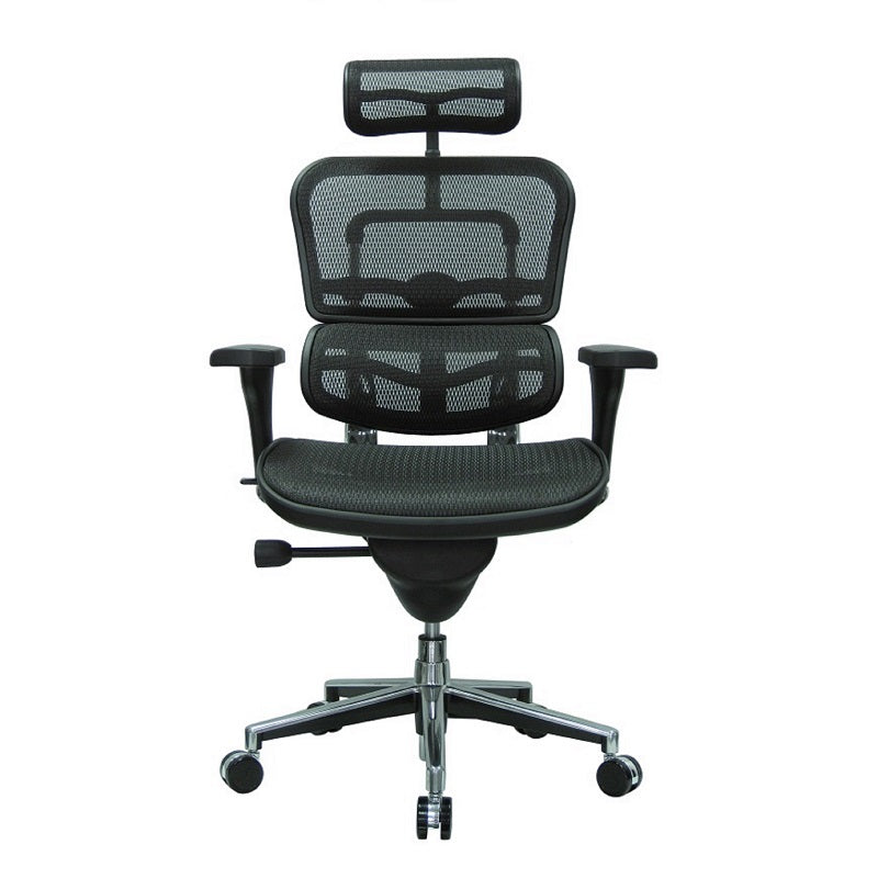 ergo human mesh chair