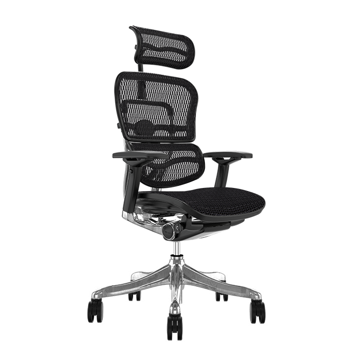 ergohuman elite chair