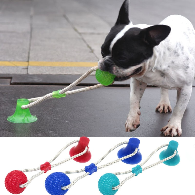 dog ball with handle