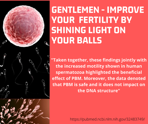 fertility-men-lllt-photobiomodulation