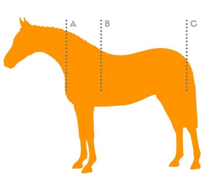 rug-size-chart-for-horses-bonus-fit-tips-active-equine