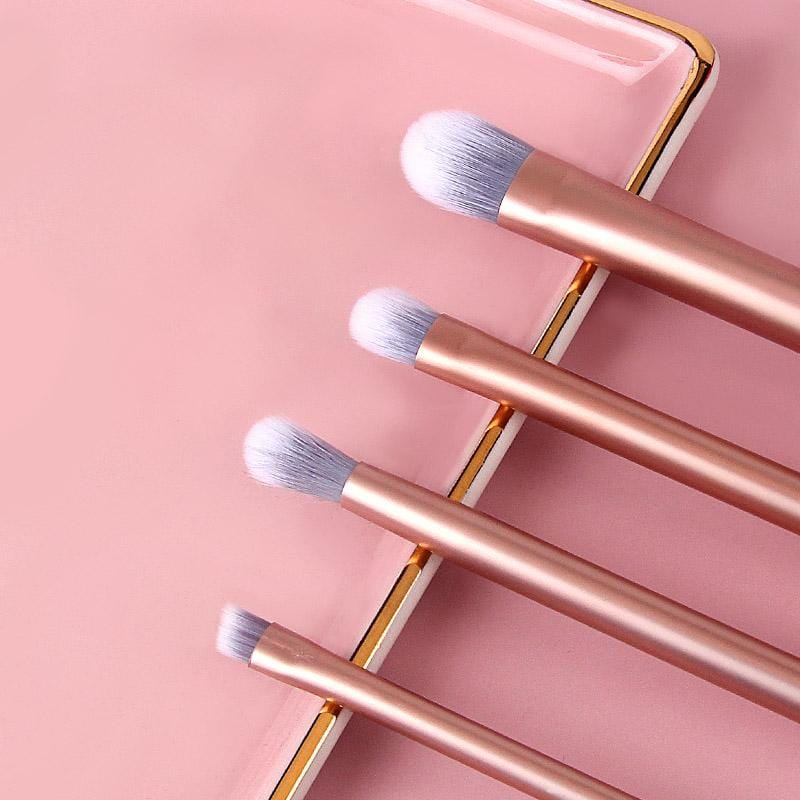 Not Basic Eyeshadow Brush Set