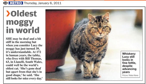 En Uzun Yaşayan Kedi