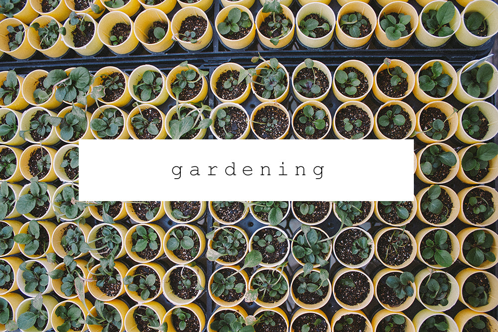 chickpea magazine archives - gardening