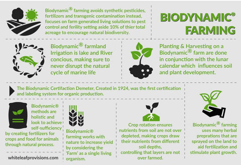 Biodynamic Farming infographic