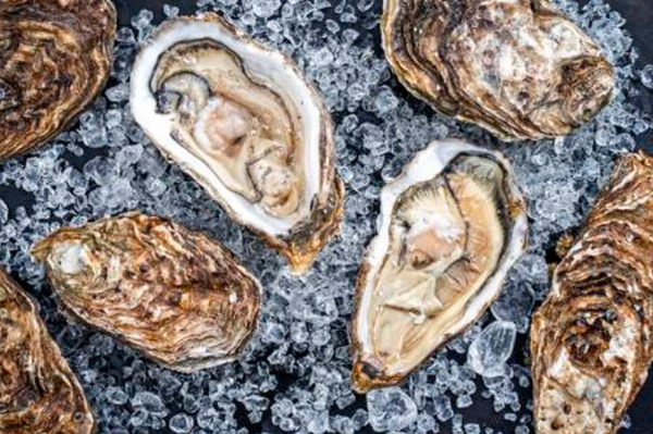 oysters boost sex drive