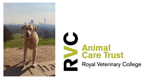 Royal Veterinary College Animal Care Trust Blog Page