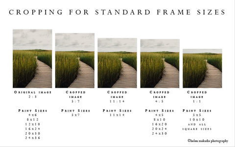 Cropping your vertical print for standard frame sizes