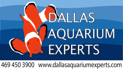 Dallas Aquarium Experts Online Store Logo