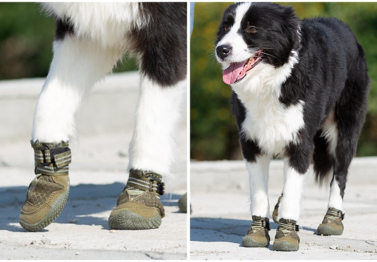 tactical dog boots