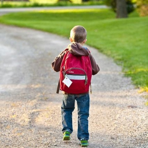 School Backpacks