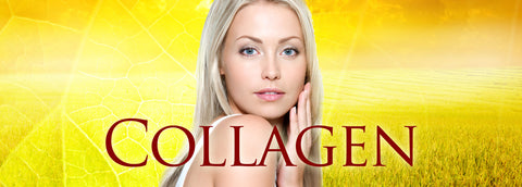 Dr Rath Collagen Vitamin