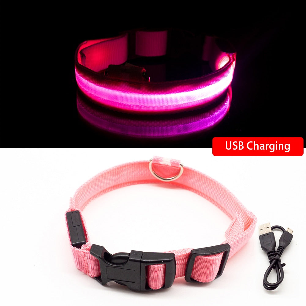 FurGrip™ USB Charging Led Dog Collar