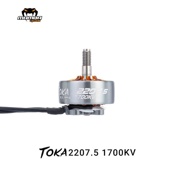 mamba toka 2207.5