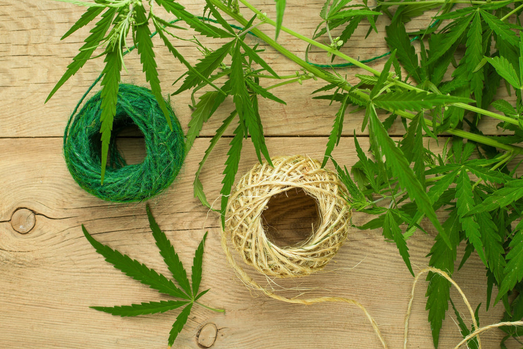 Did You Know Hemp Could Do This? [Fashion Edition]