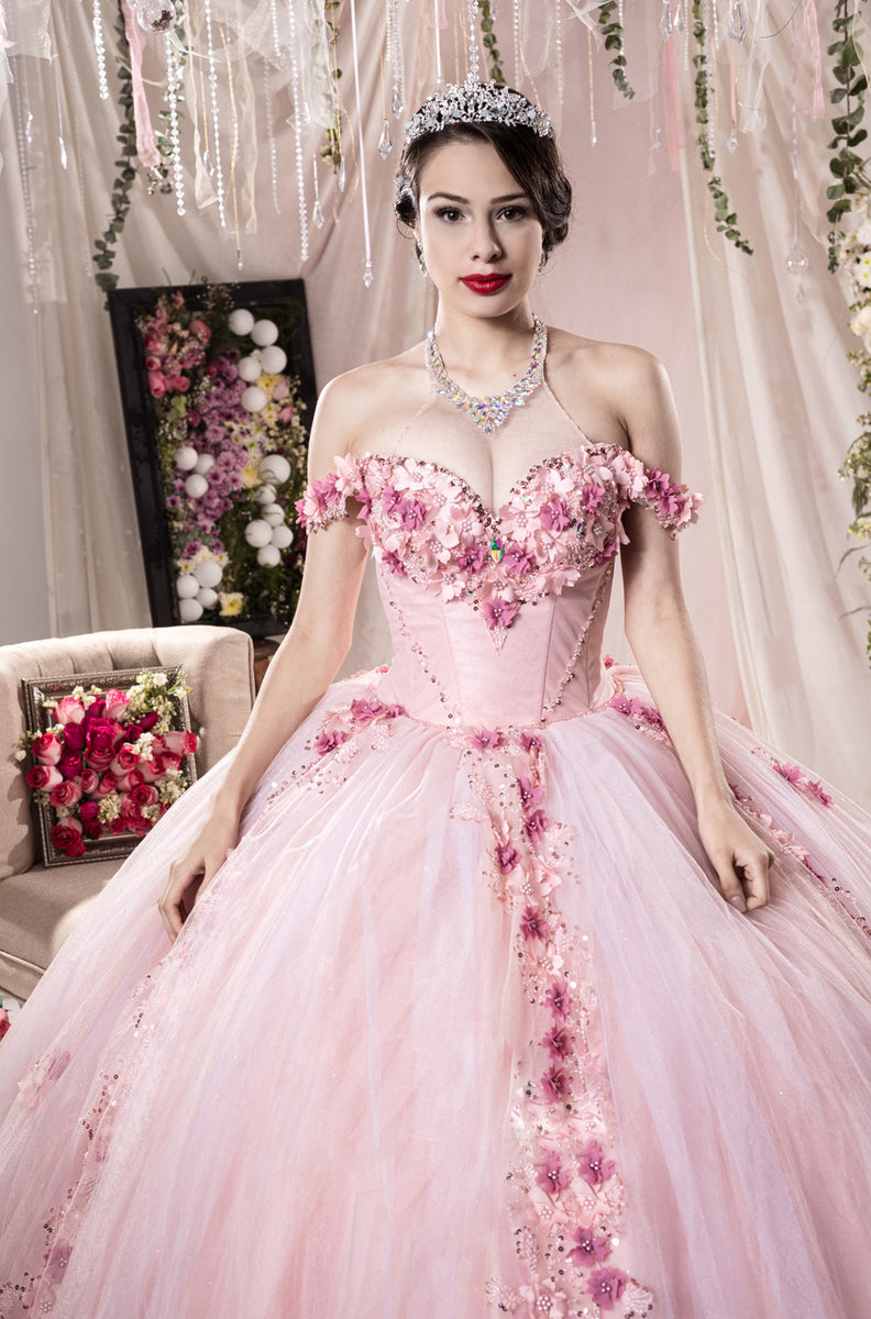 butterfly quinceanera dresses