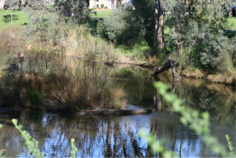 River at the bottom of our property